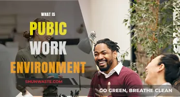 Understanding the Dynamics of a Public Work Environment: A Comprehensive Guide