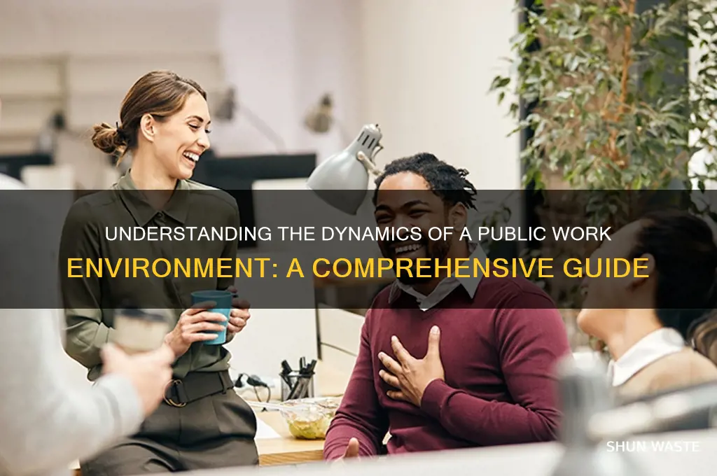 what is pubic work environment
