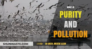 Understanding Purity and Pollution: A Cultural Perspective