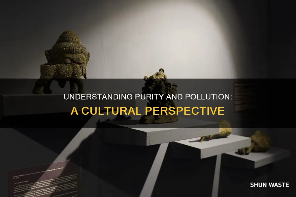 what is purity and pollution