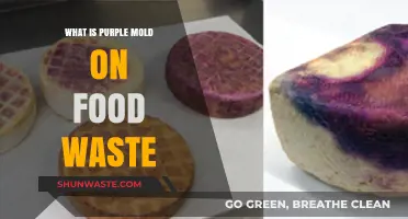 Understanding Purple Mold: A Guide to Food Waste Contamination
