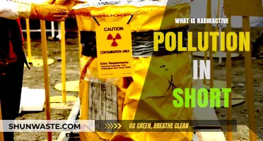 Radioactive Pollution: Understanding Its Harmful Effects