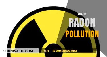 Radon Pollution: A Silent and Deadly Threat