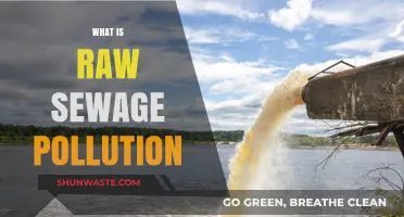 Understanding Raw Sewage Pollution: A Growing Environmental Concern