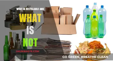 Recycling Made Simple: Understanding What’s Recyclable and What’s Not