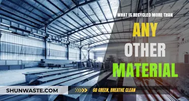 The Surprising Leader in Recycling: What Material Tops the List?