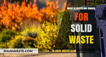 Understanding Recycling Charges for Solid Waste: Costs and Benefits