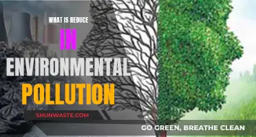 Green Revolution: Reducing Environmental Pollution