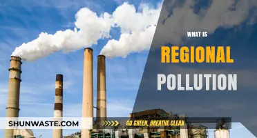 Regional Pollution: Understanding Localized Environmental Threats