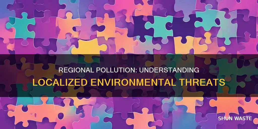 what is regional pollution