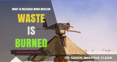 Burning Nuclear Waste: Emissions, Risks, and Environmental Impact Explained