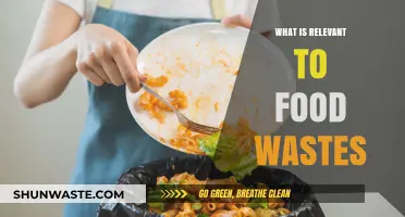 Understanding Food Waste: Causes, Effects, and Solutions