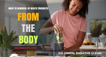 Detoxifying Naturally: Understanding the Body's Waste Removal Process