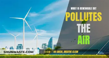 Renewable Energy Sources: Polluting the Air?