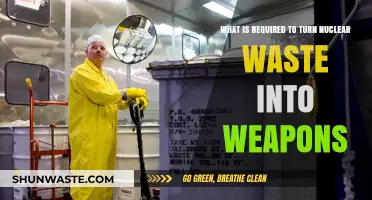 Transforming Nuclear Waste into Weapons: Key Requirements and Challenges