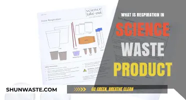 Understanding Respiration: Science Behind Waste Products and Energy Release