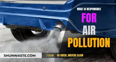 Sources of Air Pollution and Their Effects