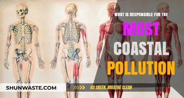 Human Impact: The Leading Cause of Coastal Pollution