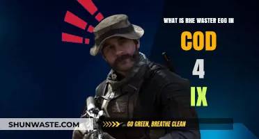 Understanding the Waster Egg Mystery in Call of Duty 4: Modern Warfare