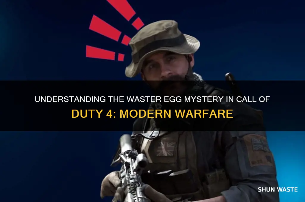 what is rhe waster egg in cod 4 ix