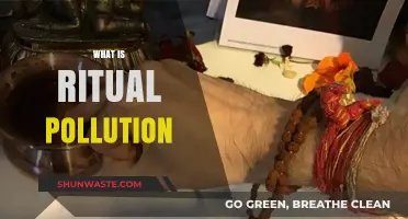 Ritual Pollution: Understanding Sacred Impurity