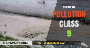 River Pollution: Understanding the Crisis