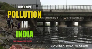 River Pollution in India: A Critical Concern