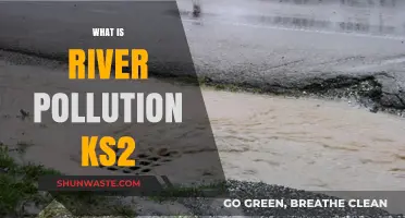 River Pollution: Its Causes and Effects