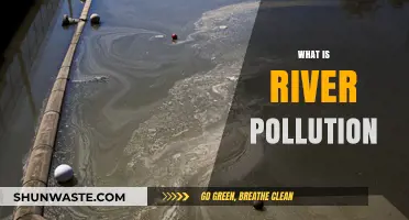 River Pollution: A Silent Crisis
