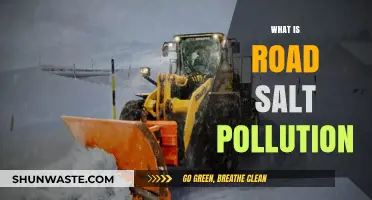 How Road Salt Pollutes Our Environment