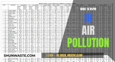 Understanding RSPM: Air Pollution's Tiny Particles