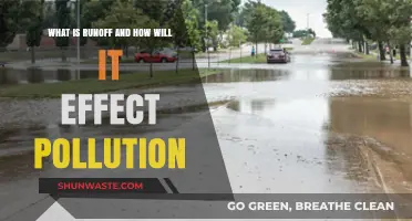 Runoff: Understanding Its Impact on Pollution