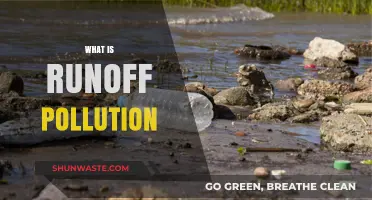 Understanding Runoff Pollution: A Growing Environmental Concern