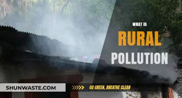 The Dark Side of Rural Pollution