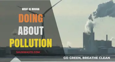 Russia's Pollution Battle: Strategies and Challenges