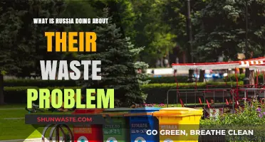 Russia's Waste Crisis: Strategies and Solutions for a Greener Future