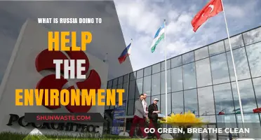 Russia's Green Initiatives: Environmental Efforts and Sustainability Strategies Explained