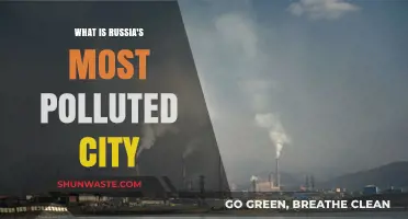 Russia's Most Polluted City: Toxic Air, Water Crisis