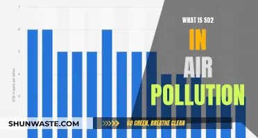 Air Pollution's Silent Killer: SO2