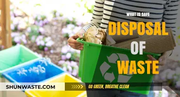 Eco-Friendly Waste Disposal: A Guide to Safe and Sustainable Practices