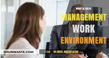 Exploring the Dynamic Sales Management Work Environment: Roles, Challenges, and Success Strategies