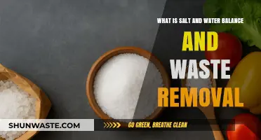 Understanding Salt, Water Balance, and Waste Removal in the Body