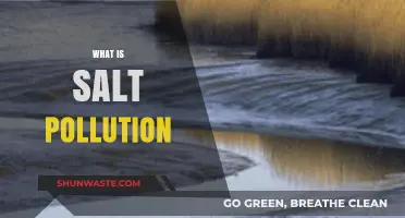 Salt Pollution: A Growing Environmental Concern