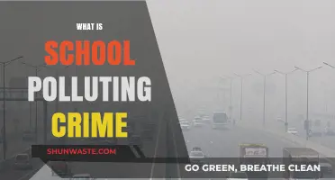 School Pollution: Criminal Impact on Education