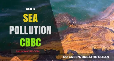 Sea Pollution: A Growing Concern for Our Planet