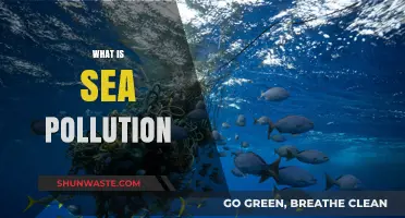 Sea Pollution: A Growing Global Crisis
