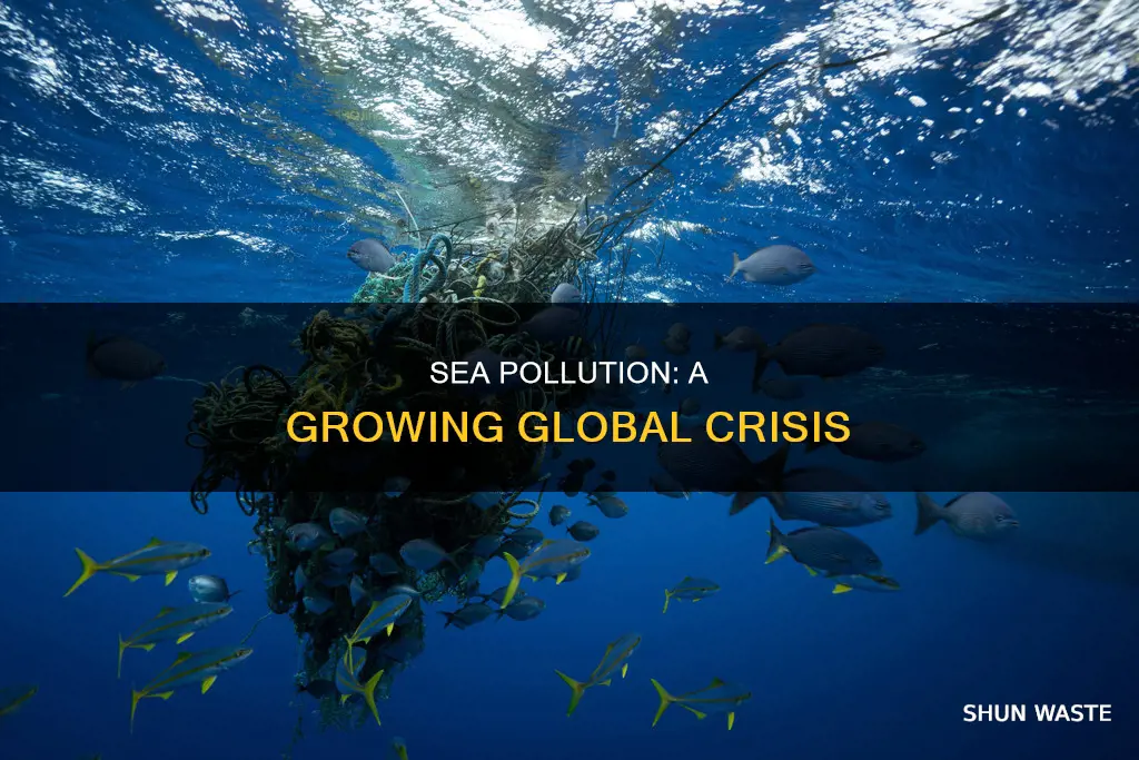what is sea pollution