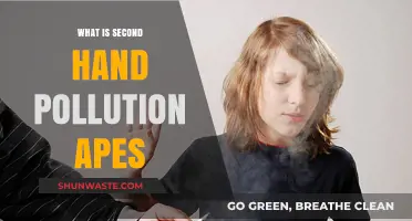 Secondhand Smoke: The Unseen APEs Threat