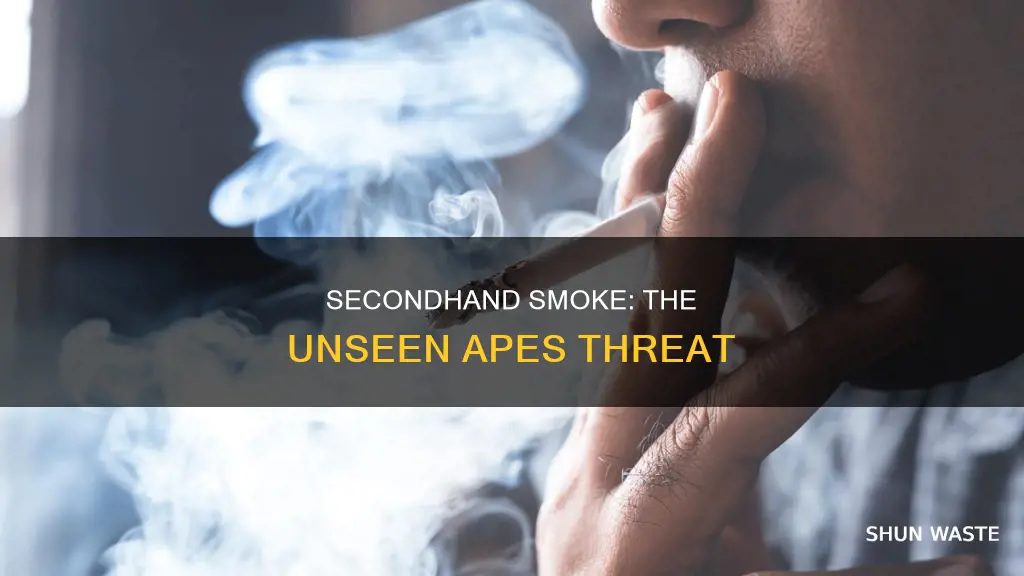 what is second hand pollution apes