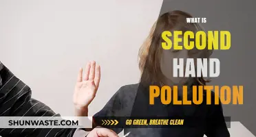 The Hidden Dangers of Second-Hand Pollution